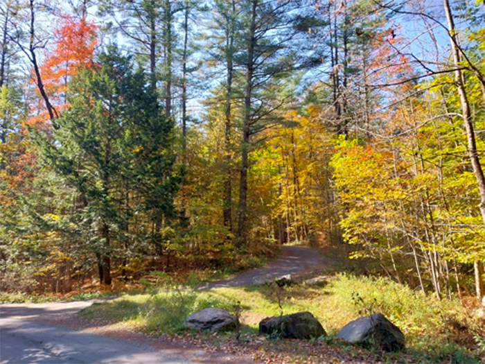 The Path to the Top at Hubbard Park in Montpelier, VT